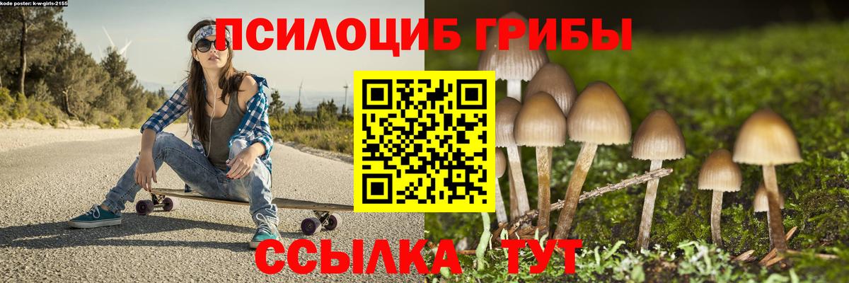 Псилоцибиновые грибы GOLDEN TEACHER  Вход с VPN  Электрогорск  Галлюциногенные грибы Magic Shrooms 